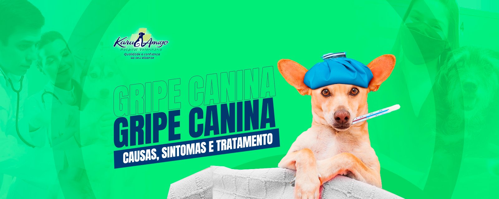 Cachorro gripado: sintomas e tratamentos