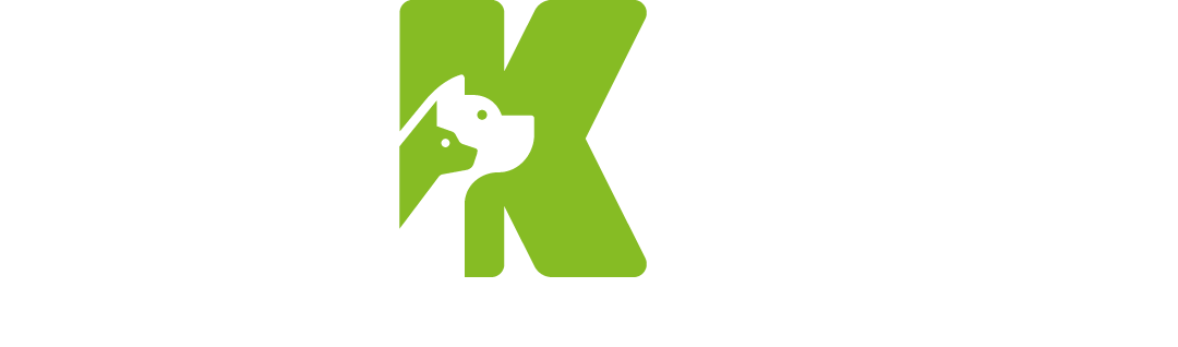 Ativo 3